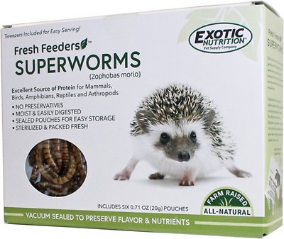 Exotic Nutrition Fresh Feeders Superworms Reptile Food